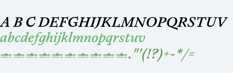 Dialogue B Trial Medium