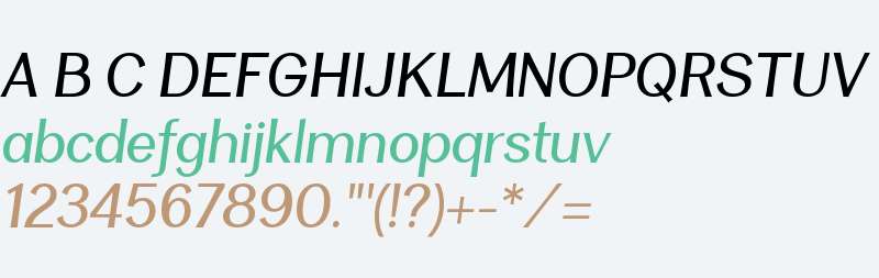 Clasica Sans W00 Regular It