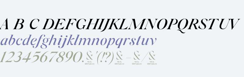 Silk Serif TRIAL Medium