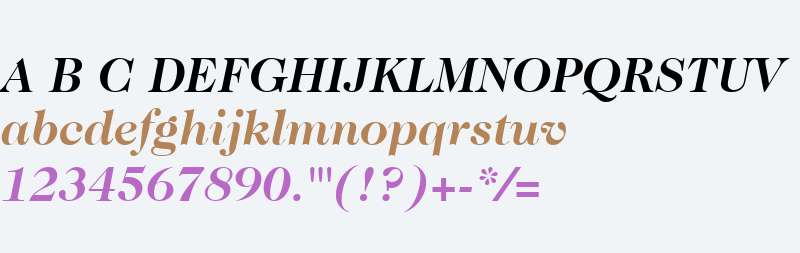 ITC Caslon 224 W03 Bold Italic