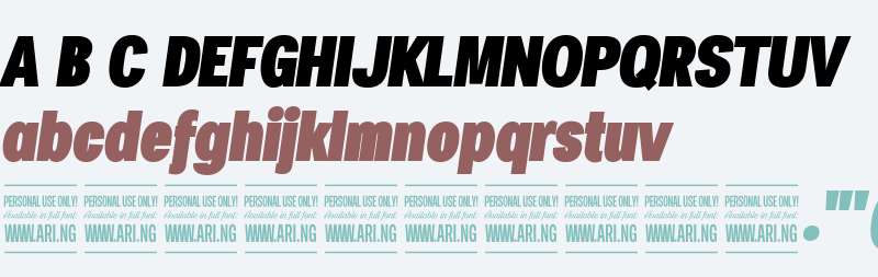 Specify PERSONAL Condensed Black Italic