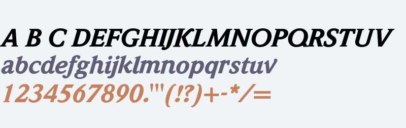 Weidemann* Black Italic