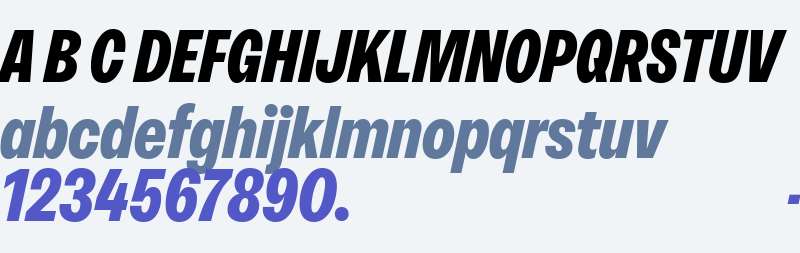 RB Rational Neue Condensed Test ExBd