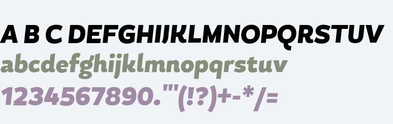 MagallanesCondBlack-Italic