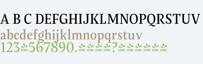 FSP DEMO - Poly Medium