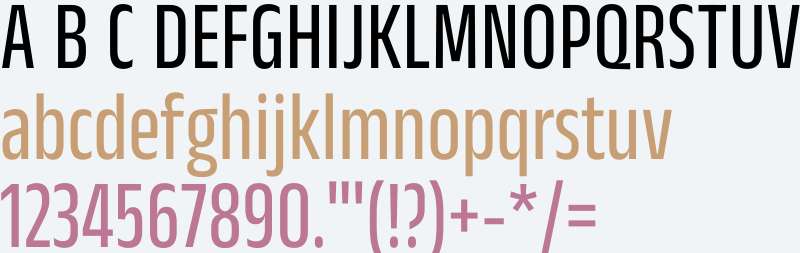 Anek Kannada Condensed