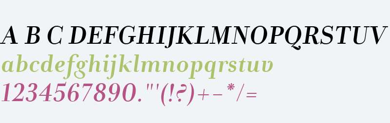 Andrade W04 Bold Italic