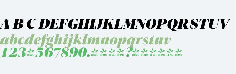 FSP DEMO - Contane Black Italic