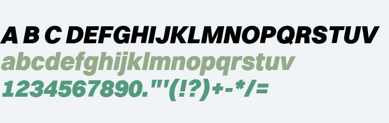 Switzer Black Italic