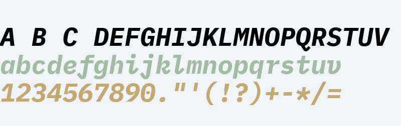 IBM Plex Mono Bold Italic