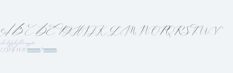 Lofista - Personal Use