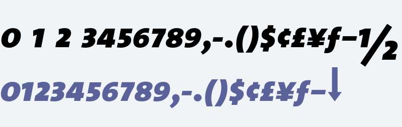 TheSans ExtraBold Expert Italic