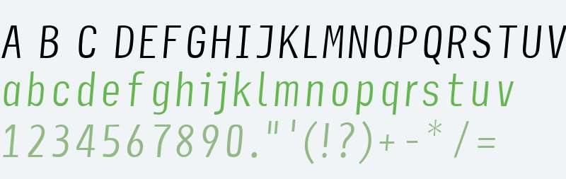 NewsletterLightItalic W01 Rg