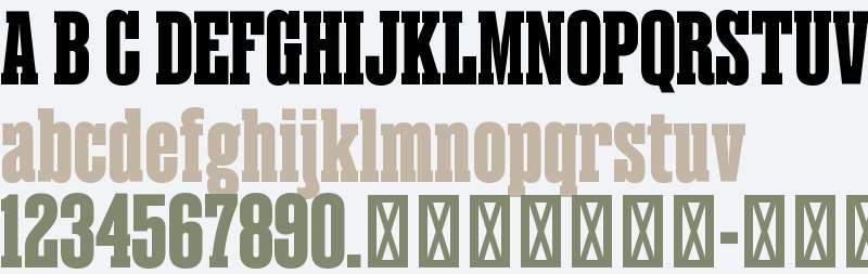 Magno Serif Trial Black