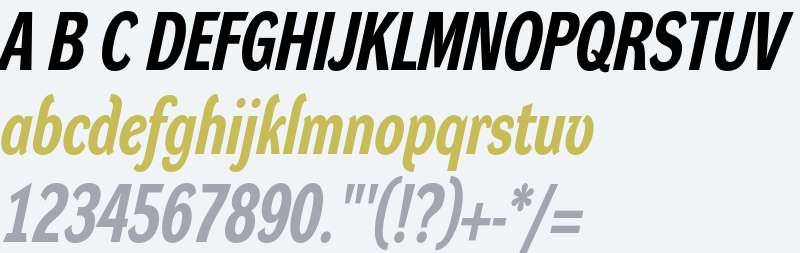 Dynamo Italic H C