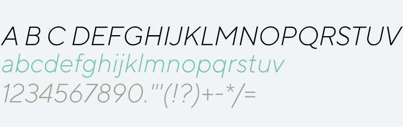 TTNormsPro-LightItalic