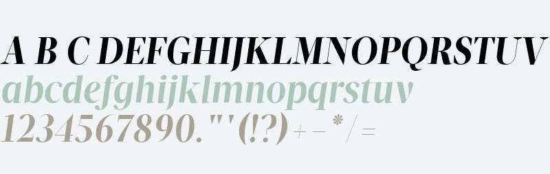 Velino Display W01 Bold Italic