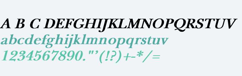 NewBaskerville Bold Italic