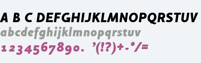 Houschka Alt-HeavyItalic W00 Rg