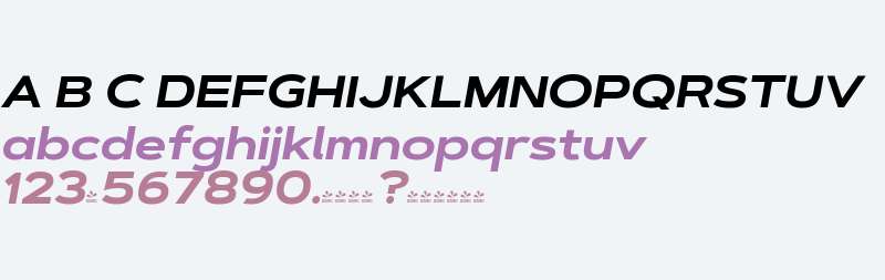 FSP DEMO - Artegra Sans Ex