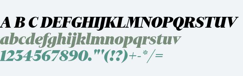 FinancierDisplay-BlackItalic