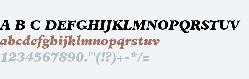 Minister W03 Black Italic