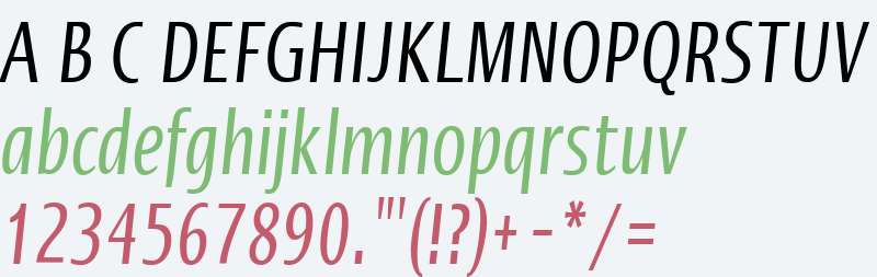 Ergo LT W04 Compressed Italic