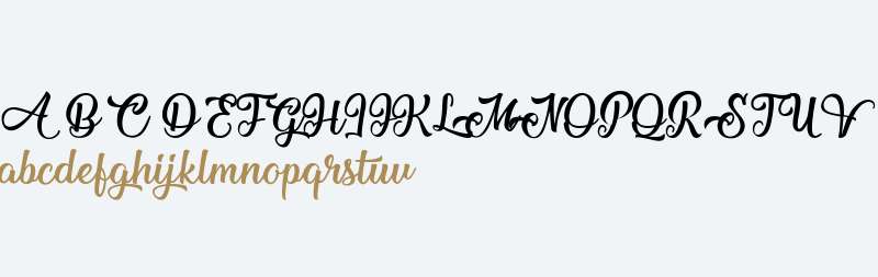 Mechanic of the Heart