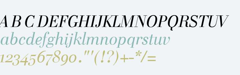 CelliniTitlingWeb W03 Italic