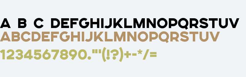 SONGERSemiExpanded-Heavy