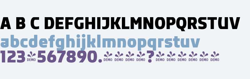 FSP DEMO - Rikon Black