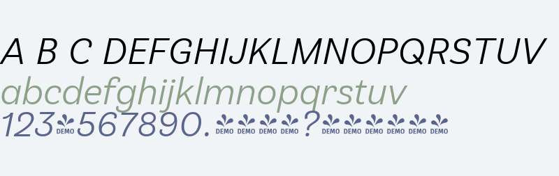 FSP DEMO - Klainy Italic