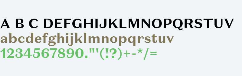 Domaine Sans Text Bold Bold