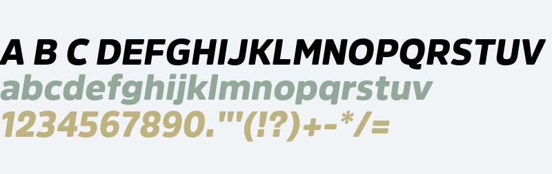 Amsi Pro Black Italic