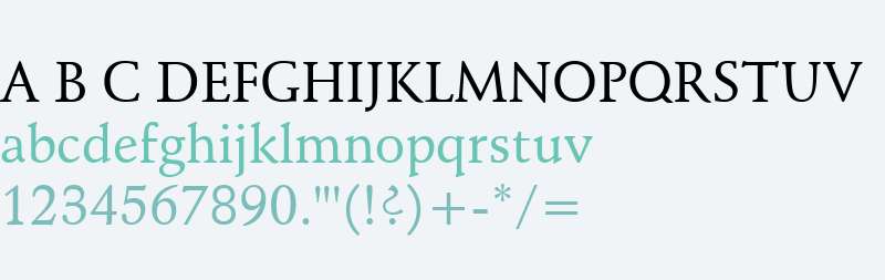 Schneidler Medium BT