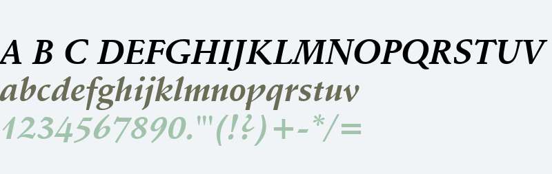Schneidler Bold Italic BT