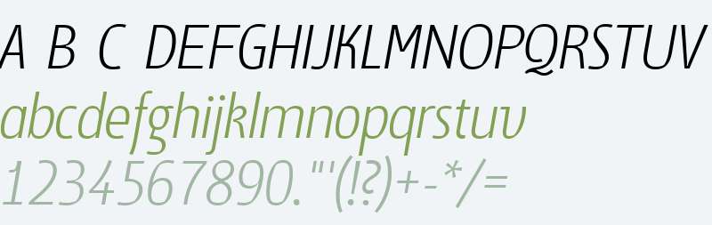 Suomi Sans W01 Light Italic