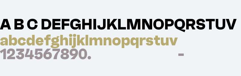 RB Faktum Neue Test ExtraBold
