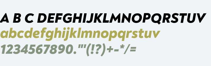 Noah Head Heavy Italic