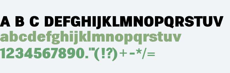 Eurotypo Sans Black