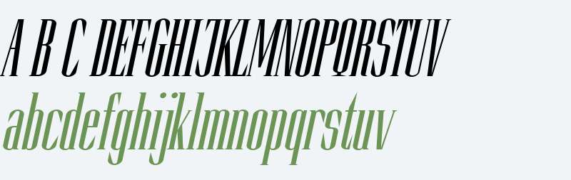 Slim Kim W01 Plain Italic