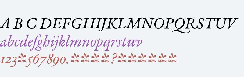 FSP DEMO - Graveur Book