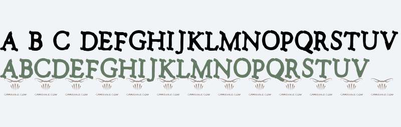 No talking please Regular