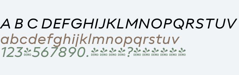 FSP DEMO - neue Radial C Italic