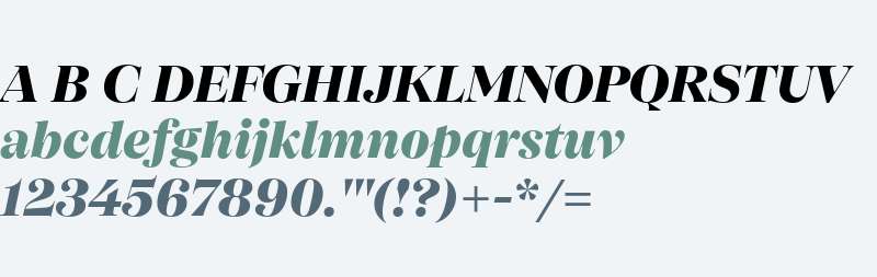 SFT Schrifted Serif TRIAL D D ExBd