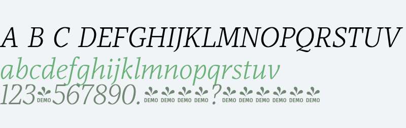 FSP DEMO - Audela Book Italic