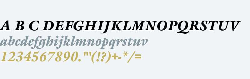 GalliardEF-BlackItalic