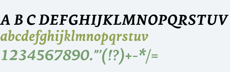 Ginkgo LT W04 Bold Italic