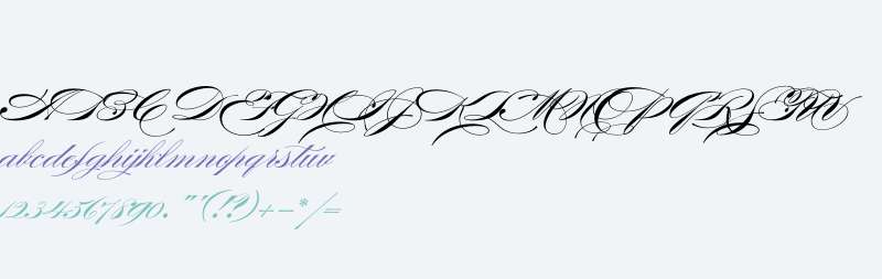 Burgues Script