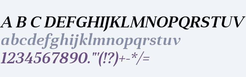 Anglecia Pro Text W01 SmBd It